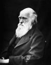 Charles Darwin (1809-1882) in his later years. Photo by J. Cameron, 1869.