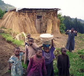 Parc National des Volcans, Rwanda. August 4, 2005. Children on a Rwandan farm. Anywhere you go in Rwanda, as soon as you pull out a camera a group of curious children will form to meet the strangers and shyly pose. These children lived on the mountainside farms we crossed on the first part of our trek to see the gorillas. Credit: by Sarel Kromer. 