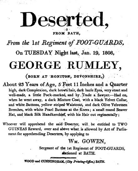 Wellington's Soldiers