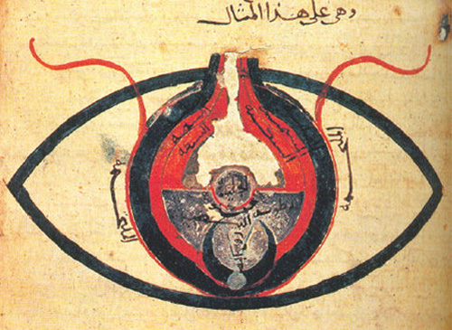 An Arabic manuscript, dated 1200 CE, titled Anatomy of the Eye, authored by al-Mutadibih.