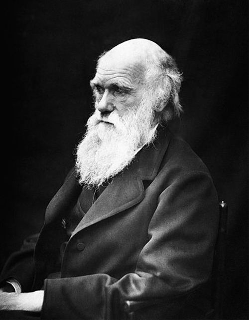 Charles Darwin (1809-1882) in his later years. Photo by J. Cameron, 1869.