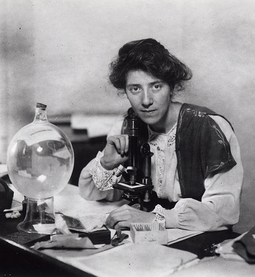 Marie Stopes