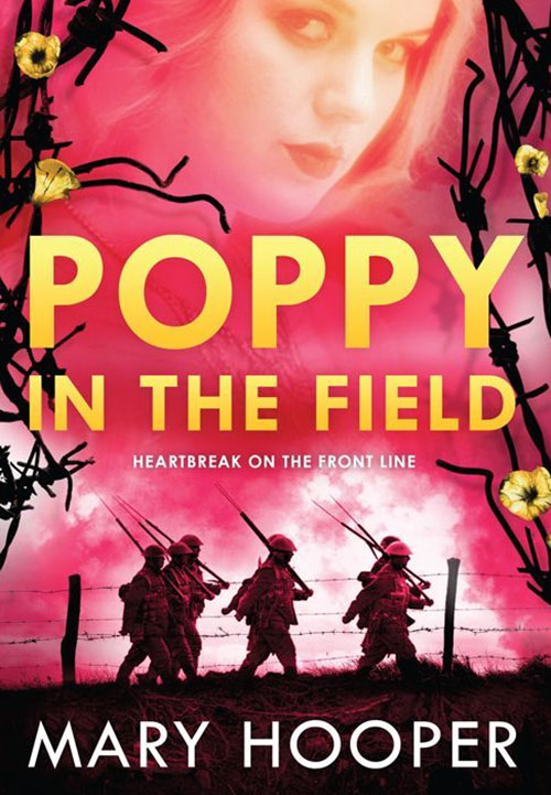 poppy in the field