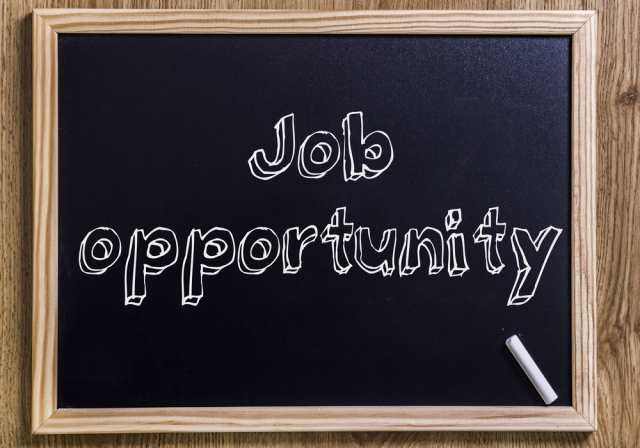 Job Opportunity