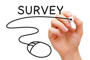 Online survey