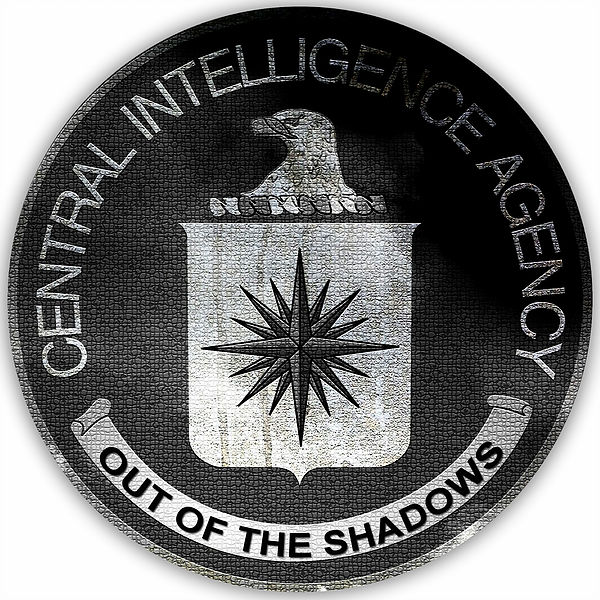 Out of the Shadows project logo