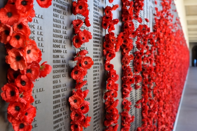 Remembrance poppies