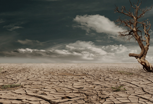 Climate change image (Global Dimension)