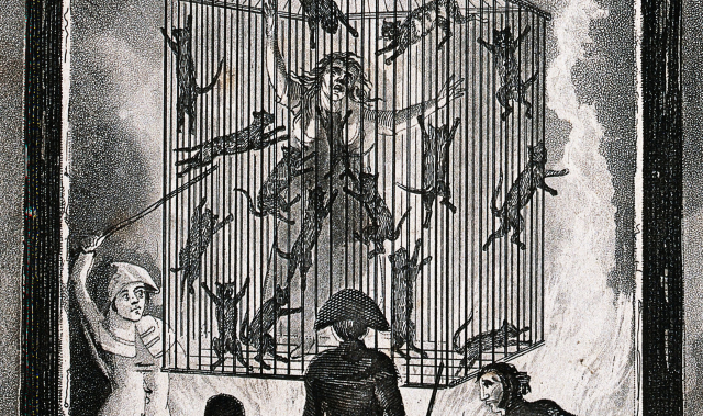The burning of Louisa Mabree, the French midwife in a cage filled with black cats suspended over a blazing fire. Copyright: Wellcome Trust. Library reference: ICV No 42395. This file is licensed under the Creative Commons Attribution 4.0 International license.