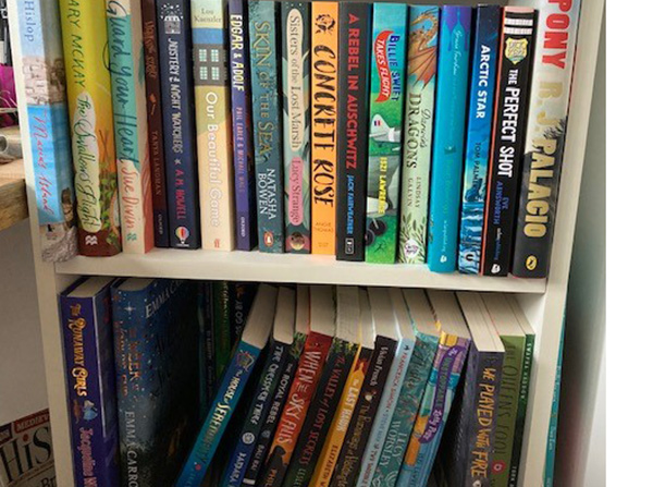 Bookshelves of young historical fiction