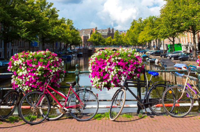 Bicycles on a bridge in Amsterdam