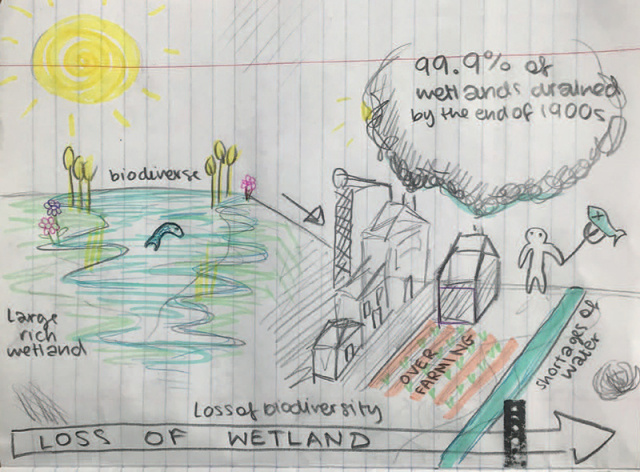Student's environmental history infographic