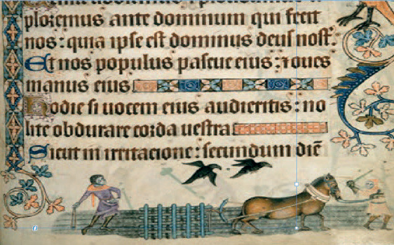 Ploughing scene from medieval manuscript